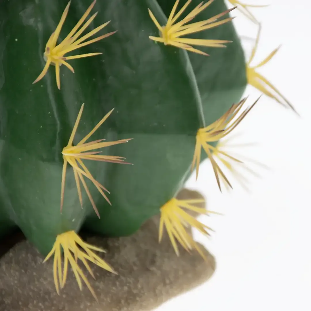 Terrarium Echinocactus groen 1 - Image 2