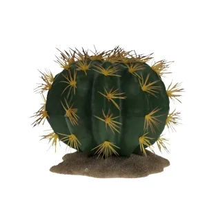 Terrarium Echinocactus groen 1