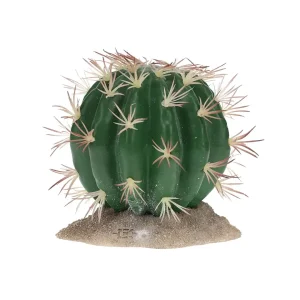 Terrarium Echinocactus groen
