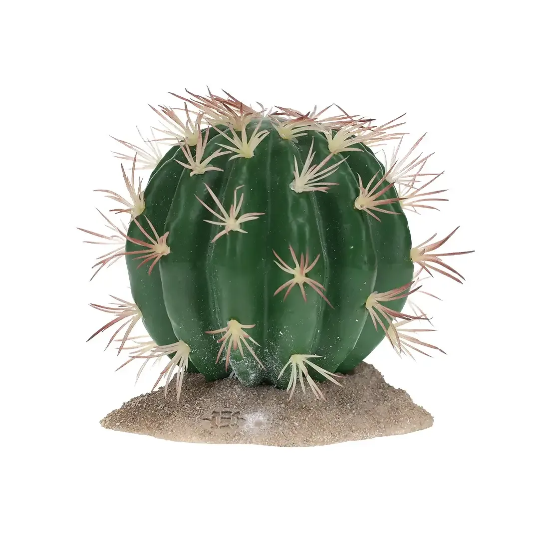 Terrarium Echinocactus groen