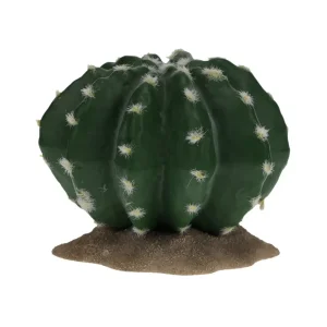 Terrarium Echinocactus groen 2