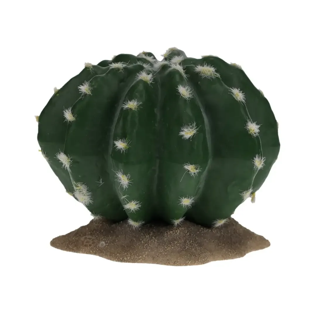 Terrarium Echinocactus groen 2