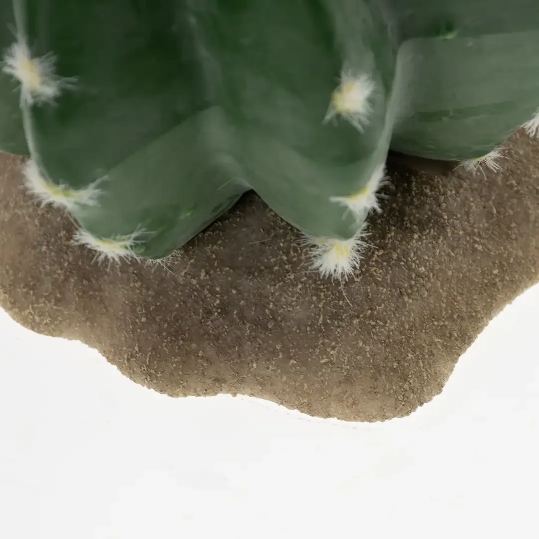 Terrarium Echinocactus groen 2 - Image 2