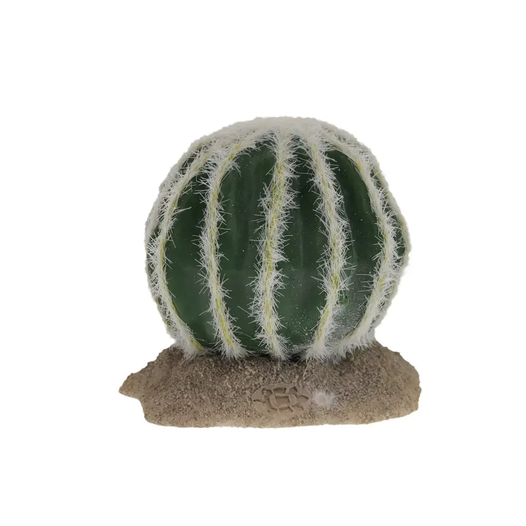 Terrarium Echinocactus groen - Image 2