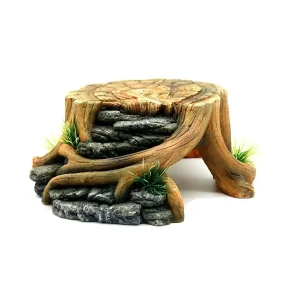 Terrarium Grot Boomstam