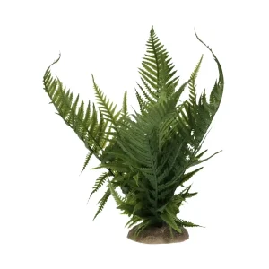 Terrarium Kunst Varen