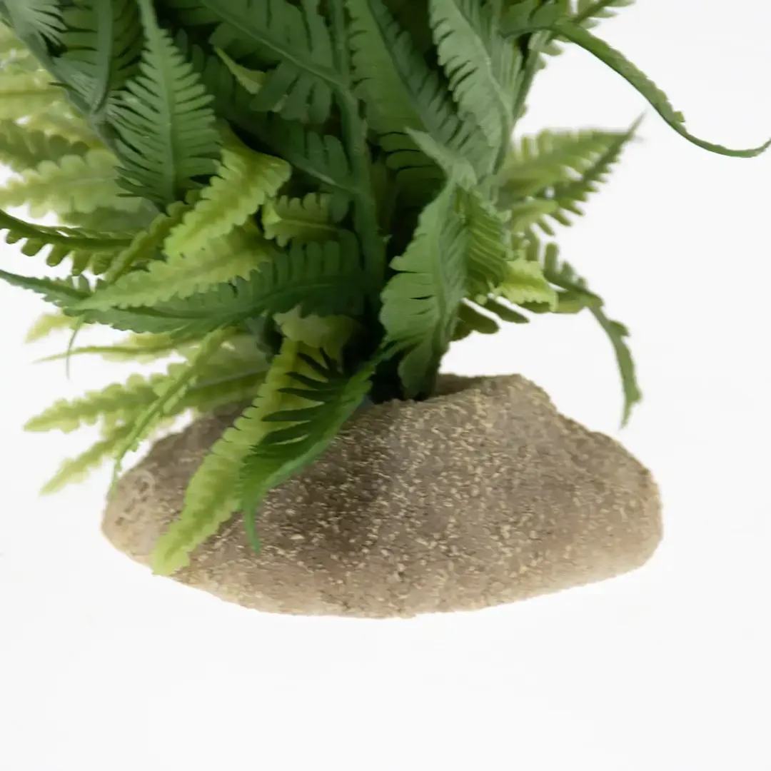 Terrarium Kunst Varen - Image 2