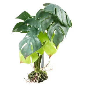 Terrarium Kunstplant Monstera groen