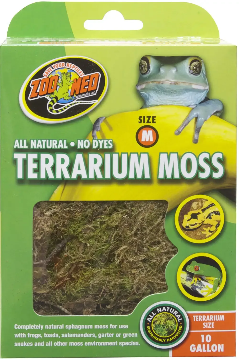 Terrarium Moss - Image 2