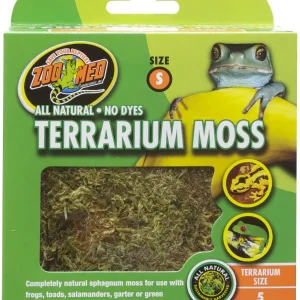 Terrarium Moss