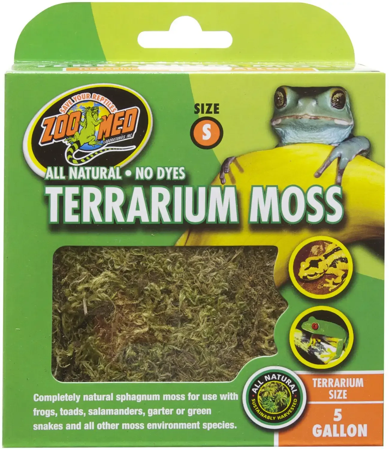 Terrarium Moss