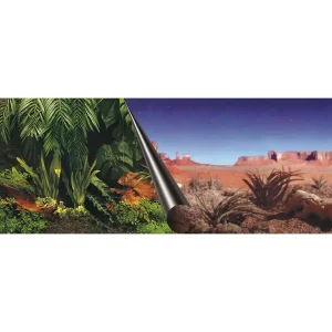 Terrarium Poster Achterwand Jungle & Desert