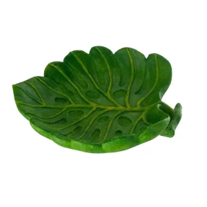 Terrarium Schaal Blad