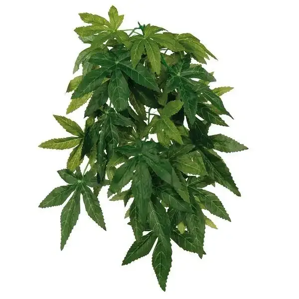 Terrarium Zijde Hangplant Abutilon