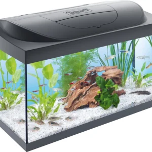 Tetra Starter line - Aquarium - 32x36x61 cm