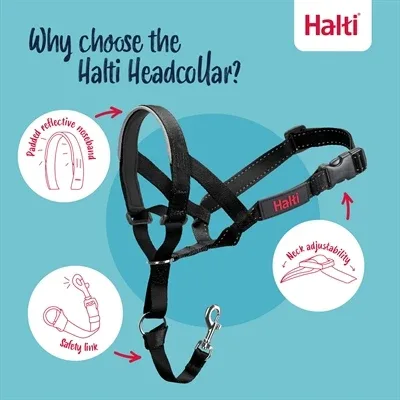 The Company Of Animals Company Of Animals Halti Headcollar Zwart Nr 2 - Image 2
