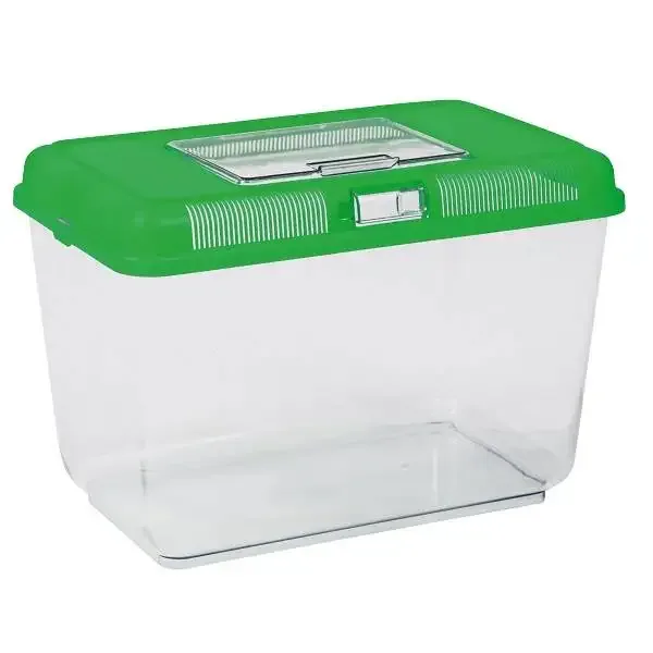 Transportbox Reptiel 38 x 24 cm - Image 2