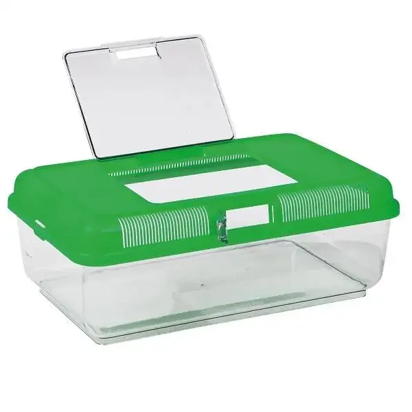 Transportbox Reptiel 38 x 24 cm – Laag Model - Image 2