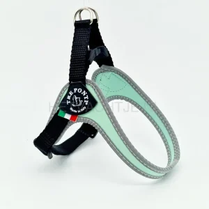 TRE PONTI - Fibbia Basic Mint