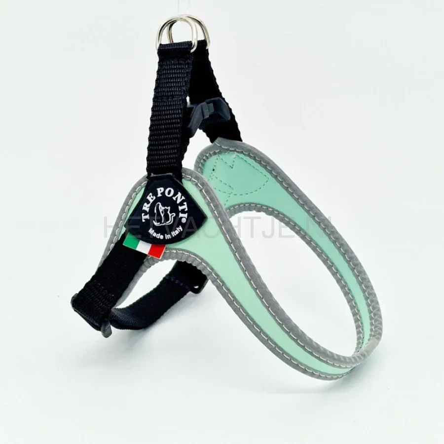 TRE PONTI - Fibbia Basic Mint