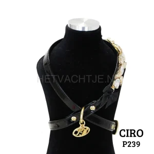 TRILLY TUTTI BRILLI - Ciro Tuig