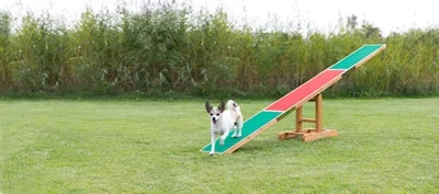 Trixie Agility Wip 300x34x54 cm