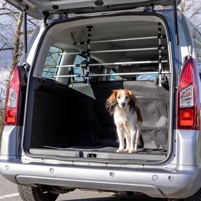 Trixie Autorek 105 172x46 60 cm - Zilver - Image 2