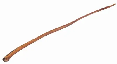Trixie Bullenpees Gedroogd 70 80 cm 10 St