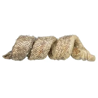 Trixie Denta Fun Curl Wokkel met Kabeljauw - 25 gr - Image 2