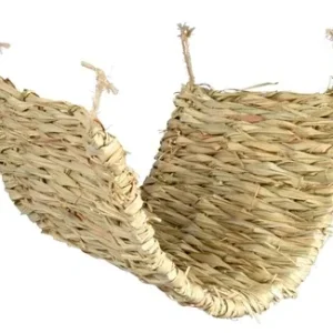 Trixie Grasmat voor Degoe Rat 40x28 cm 3 St