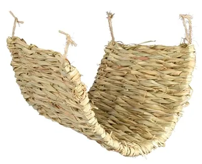 Trixie Grasmat voor Degoe Rat 40x28 cm 3 St