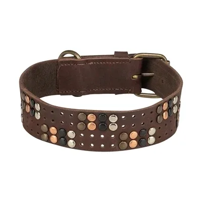 Trixie Halsband Hond Rivet Rustic Vetleer Donkerbruin - Image 2