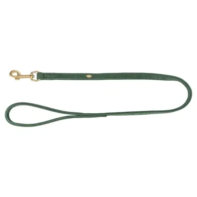 Trixie Hondenriem Pure Leer Saliegroen 100X2 Cm