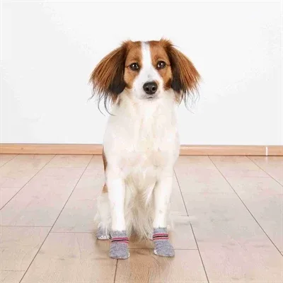 Trixie Hondensokken Anti Slip 3x2 St - L - Image 2