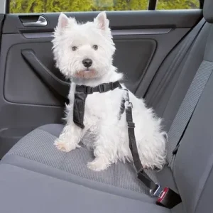 Trixie Hondentuig Auto Inclusief Gordel 20x50x1,5 cm - Zwart