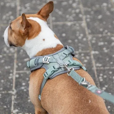 Trixie Hondentuig Premium Flexmesh Brede Borst Saliegroen 58-80 cm - Image 2