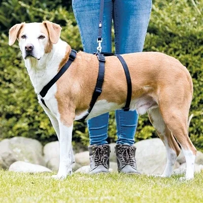 Trixie Hondentuig Stay 32x45x1 cm - Zwart - Image 2