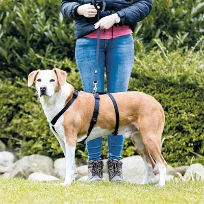 Trixie Hondentuig Stay 70 100 cm - L - Image 2