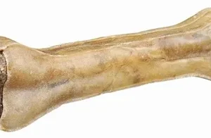 Trixie Kauwbot Bullenpeesvulling 21 cm 21 cm - 170 g