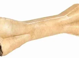 Trixie Kauwbot Pensvulling 12 cm St 12 cm 10x - 60 g