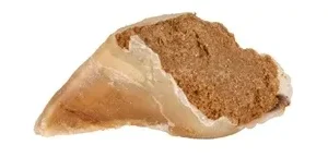 Trixie Kauwhoef met Vulling - 115 g