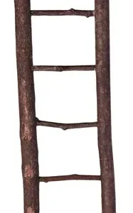 Trixie Ladder Schorshout 26cm 4st