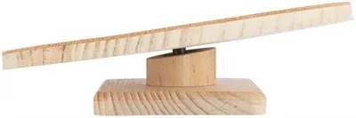 Trixie Loopschijf Degoes Grote Hamsters Hout Kurk 30 cm - Image 2