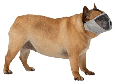 Trixie Muilkorf voor Rassen met Platte Neus Polyester 31 cm 2 St - S - Image 2