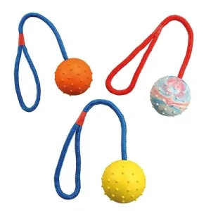 Trixie Natuurrubber Bal aan Koord 30x6x6 cm 3 St - Assorti