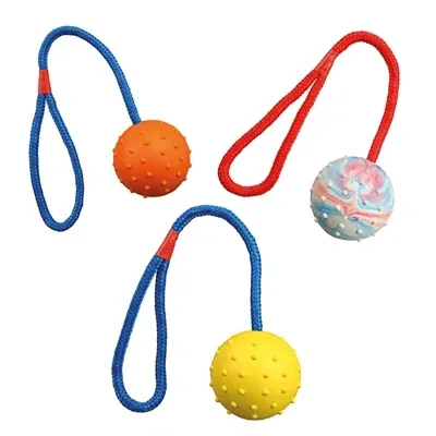 Trixie Natuurrubber Bal aan Koord 30x6x6 cm 3 St - Assorti