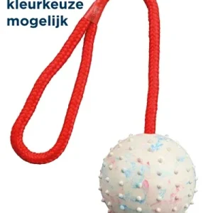 Trixie Natuurrubber Bal aan Koord 30x7x7 cm 3 St - Assorti