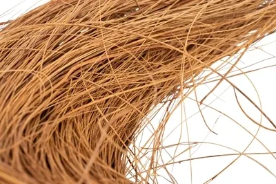 Trixie Nestmateriaal Gekamde Kokosvezels voor Knaagdieren - 30 gram - Image 2
