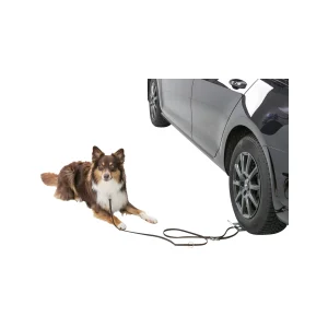 Trixie Oprijplaat Auto