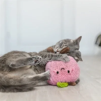 Trixie Perzik Xxl Pluche Met Amerikaanse Catnip 20 Cm - Image 2